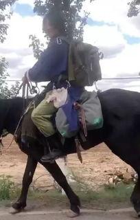 内蒙古小伙骑国产马视频,国产马匹实力大比拼