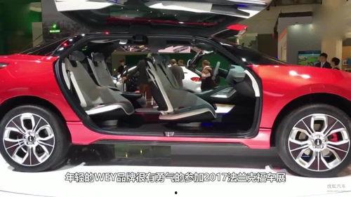 国产车被爆录视频