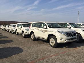 丰田国产普拉多中网安装视频,丰田国产普拉多中网安装步骤详解