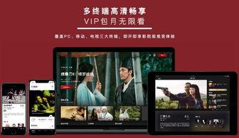 国产姿势视频播放网站,热门内容与观看体验全解析