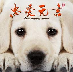 哪里有国产人狗视频,情感共鸣与伦理探讨